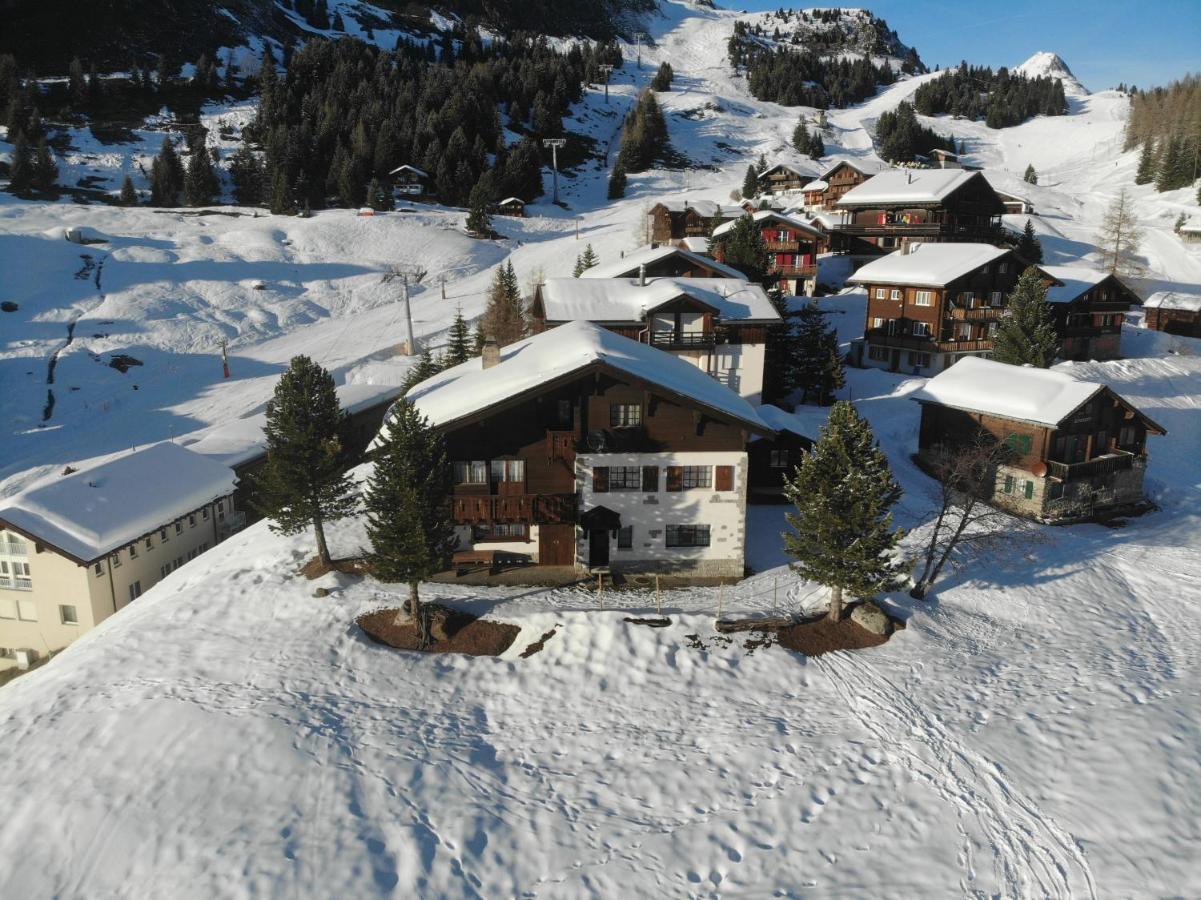 Schönegg Studio Riederalp Exteriör bild